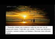 Estratégias Mentais (O que você deve fazer de dentro para fora)