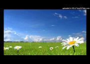 O Hino à Alegria - Ode à Alegria