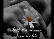Nem Tudo é Fácil - Cecília Meireles