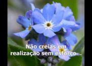 Vencerás - Chico Xavier