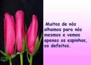 A Parabola da Rosa