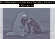 Os animais devem ser tratados com respeito, amor e carinho - Chico Xavier
