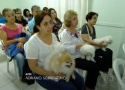 Centro Espírita para Animais
