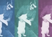 A Incrível Historia de Chico Xavier e sua Gata Aninha