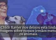 Reencarnação e Alma dos Animais por Chico Xavier