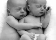 Amor Fraternal