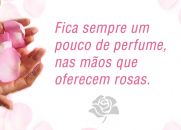 Fica sempre um pouco de perfume nas mãos que oferecem rosas!