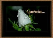 Aparências - André Luiz