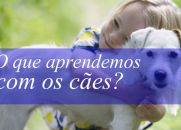 O que aprendemos com os cães?