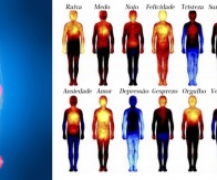 20 Tipos de Dor que Podem Estar Vinculadas a Problemas Emocionais e Espirituais