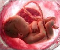 Mãe, deixa-me viver! - Psicografia de Scheilla - Um alerta para 850 mil mulheres que cometem aborto todos os anos no Brasil