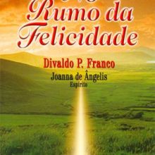 Capa de No Rumo da Felicidade