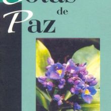 Capa de Gotas de Paz