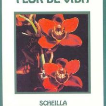 Capa de Flor de Vida