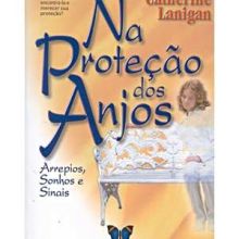 Capa de Na Proteção dos Anjos