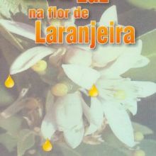 Capa de Gotas de Luz na Flor de Laranjeira