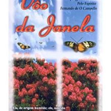 Capa de Vôo da Janela