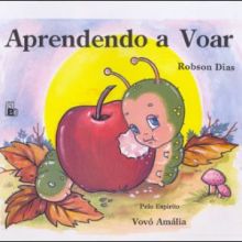 Capa de Aprendendo a Voar