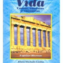 Capa de Veredas da Vida: Contos, Encantos e Encontros - Vol. 2