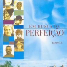 Capa de Em Busca da Perfeição: Romance