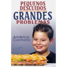 Capa de Pequenos Descuidos, Grandes Problemas
