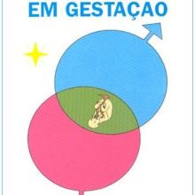 Capa de Minha Vida em Gestação