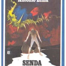 Capa de Senda de Espinhos