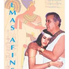 Capa de Almas Afins