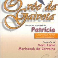 Capa de Vôo da Gaivota, O