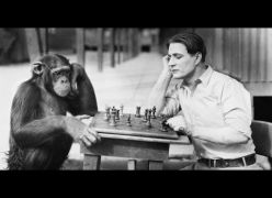 Proximidade genética entre macacos e humanos - Visão Espírita