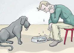 Um cachorro preto chamado DEPRESSÃO!
