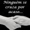 Ninguém se Cruza por Acaso