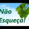 Não Esqueça!