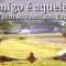 Amigo é aquele... (Mensagem aos Amigos Especiais)