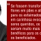 DIA DE FINADOS Por Divaldo Franco
