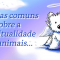 Dúvidas comuns sobre a espiritualidade dos animais...