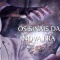 DIVALDO FRANCO - OS SINAIS DA NOVA ERA - Crianças privilegiadas, sempre houveram, mas não na quantidade que hoje encontramos...