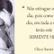 Não estrague o seu dia, pois como este dia, em toda a vida, terás este SOMENTE HOJE - Chico Xavier