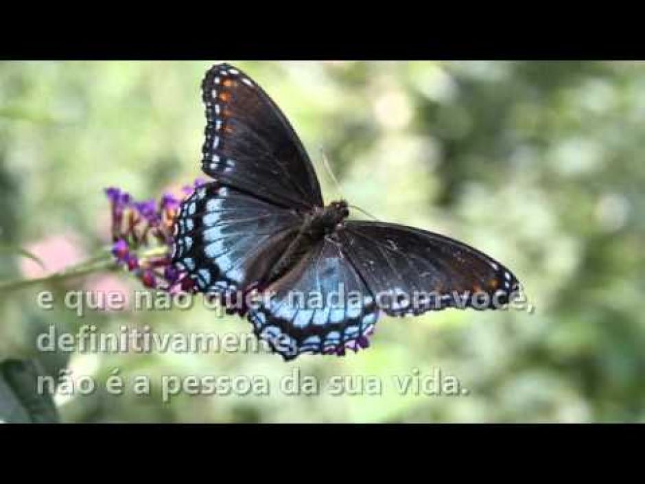 Mensagem em Vídeo de Mário Quintana - Jardim das 